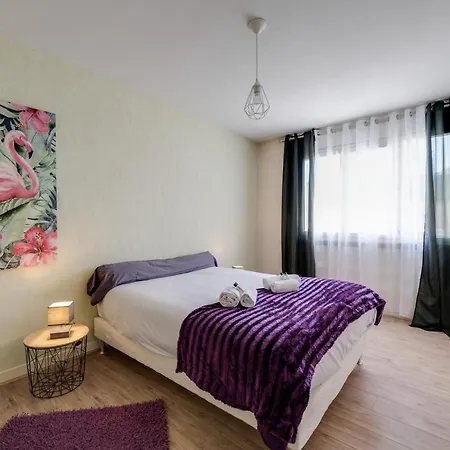 Appartement Le Carnot 68 - Beautiful T2 In The Centre And Close To The *